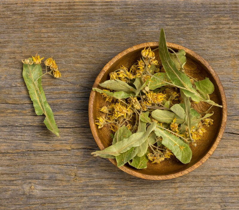 Witch Hazel Leaf Extract